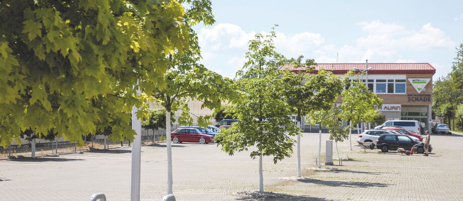 Parkplätze – soweit das Auge reicht: Ein echter Glücksgriff für die Umsetzung der Geschäftsideen von Torsten Schade.